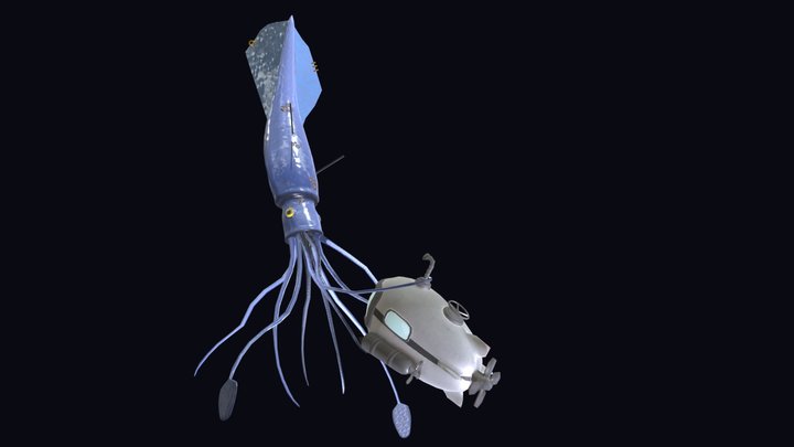 Squid v Sub 3D Model