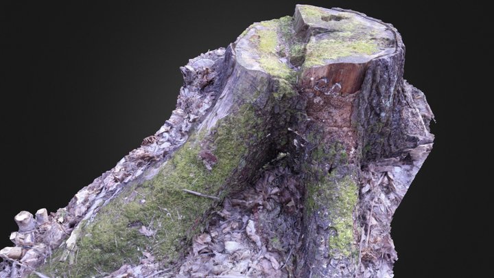 Tree stump 3D Model