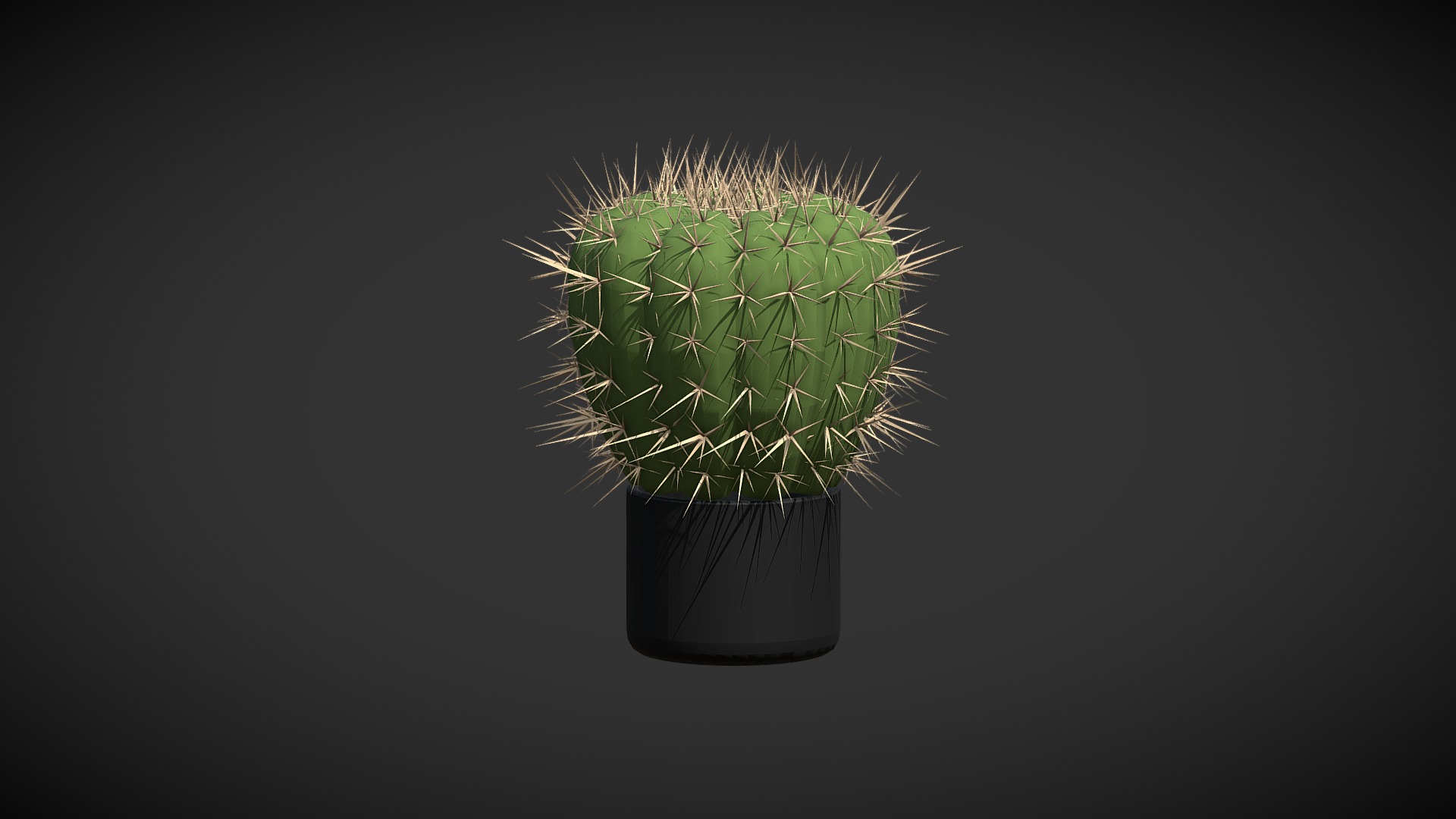 3D model Cactus - This is a 3D model of the Cactus. The 3D model is about a plant in a pot.