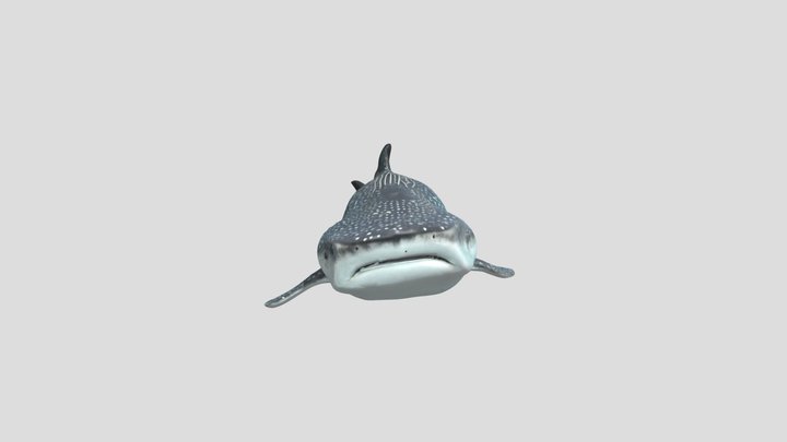 wiskers 3D Model