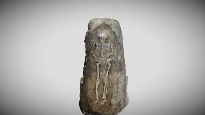 2020 - Rapolt Artifact 1 - Skeleton 3D Model