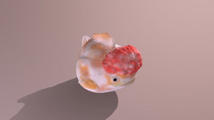 胖魚 3D Model