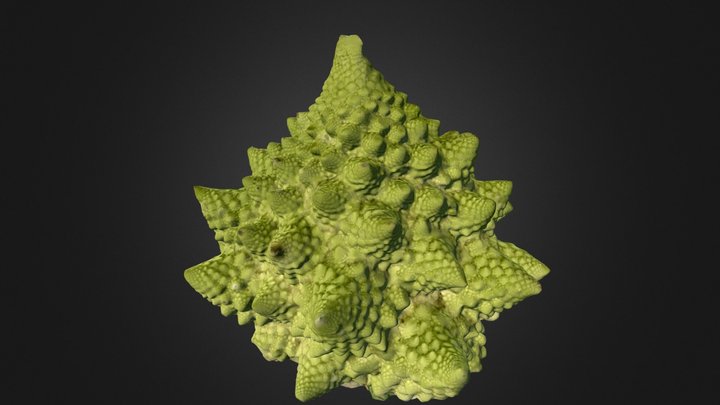 RomanescOC 3D Model