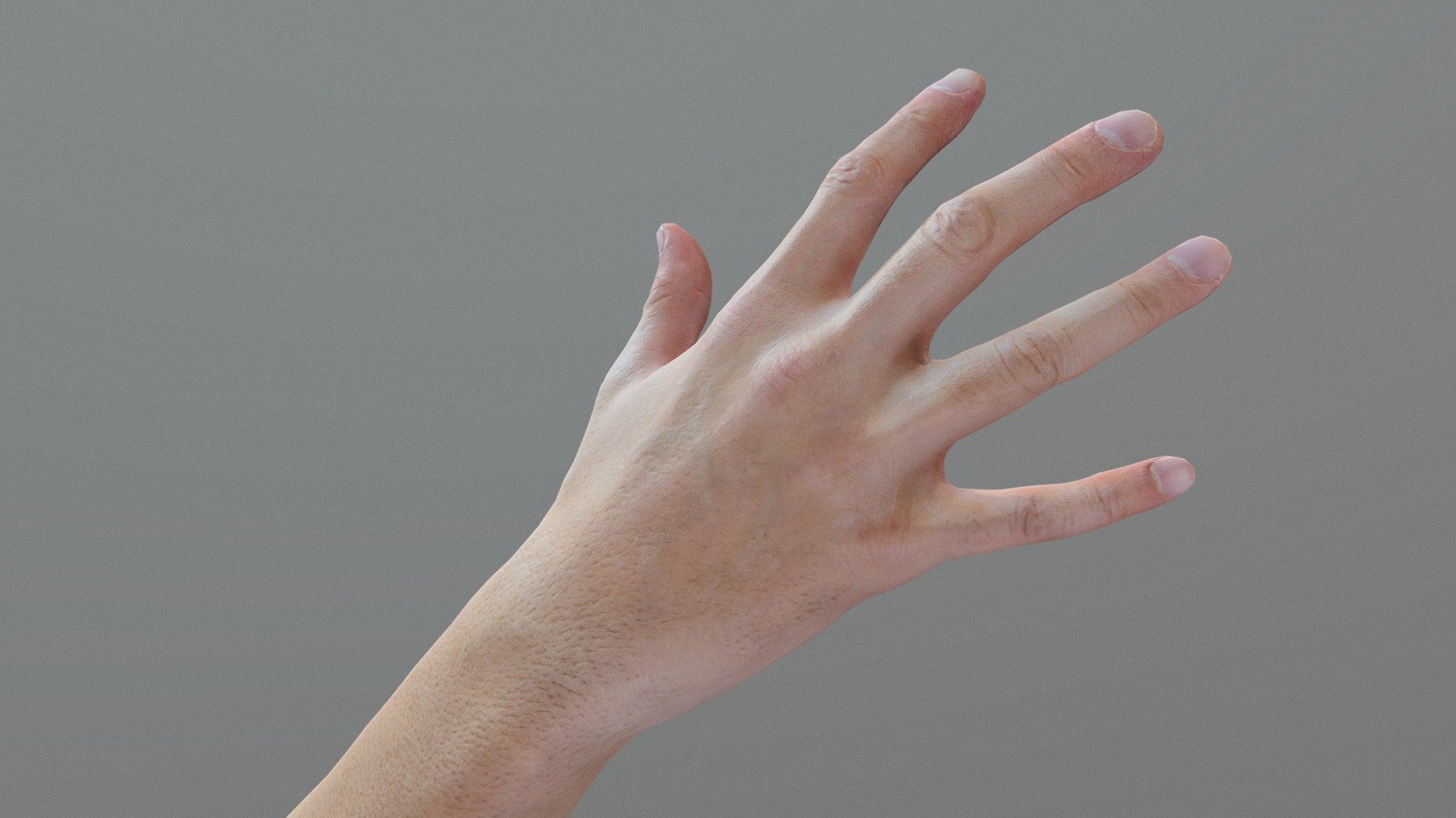 Hand sample2 (3D Scan 8.8k Poly)
