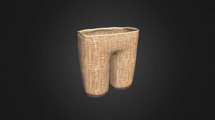 Short Pants 3D Model