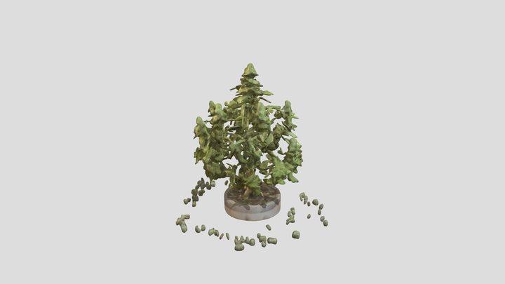 Cannabis Tree of Knowledge 3D Model
