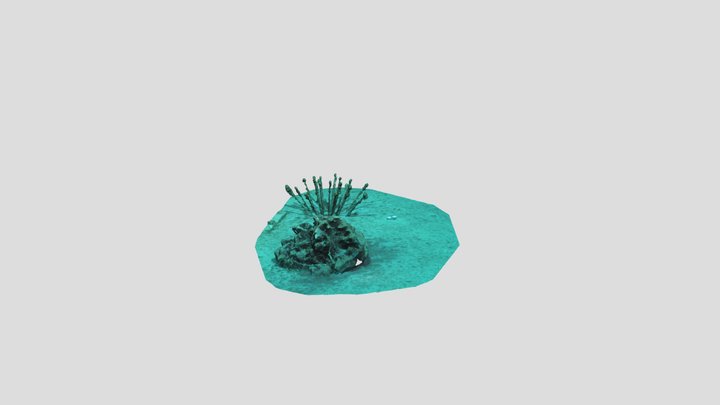 Récif artificiel - Calanque de La Redonne 3D Model