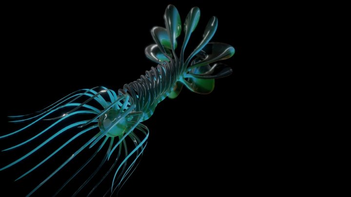 VVlex 3D Model