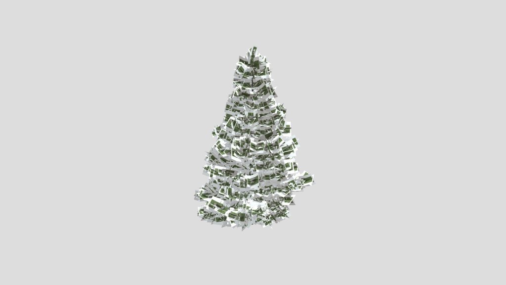 Evergreen Fir Tree