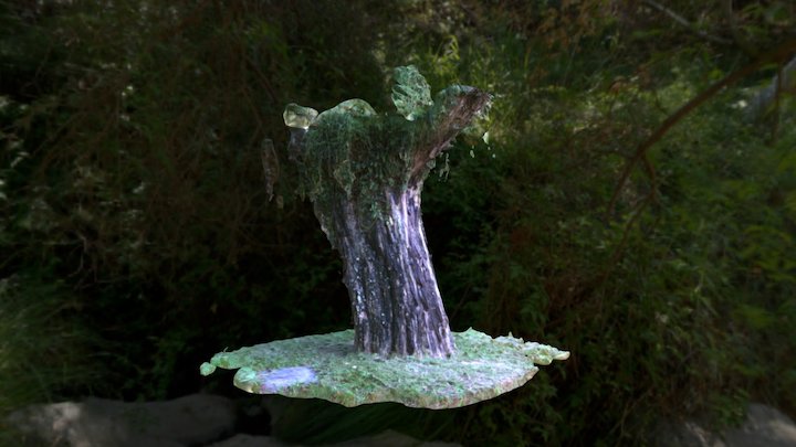 Tree from college 3D Model