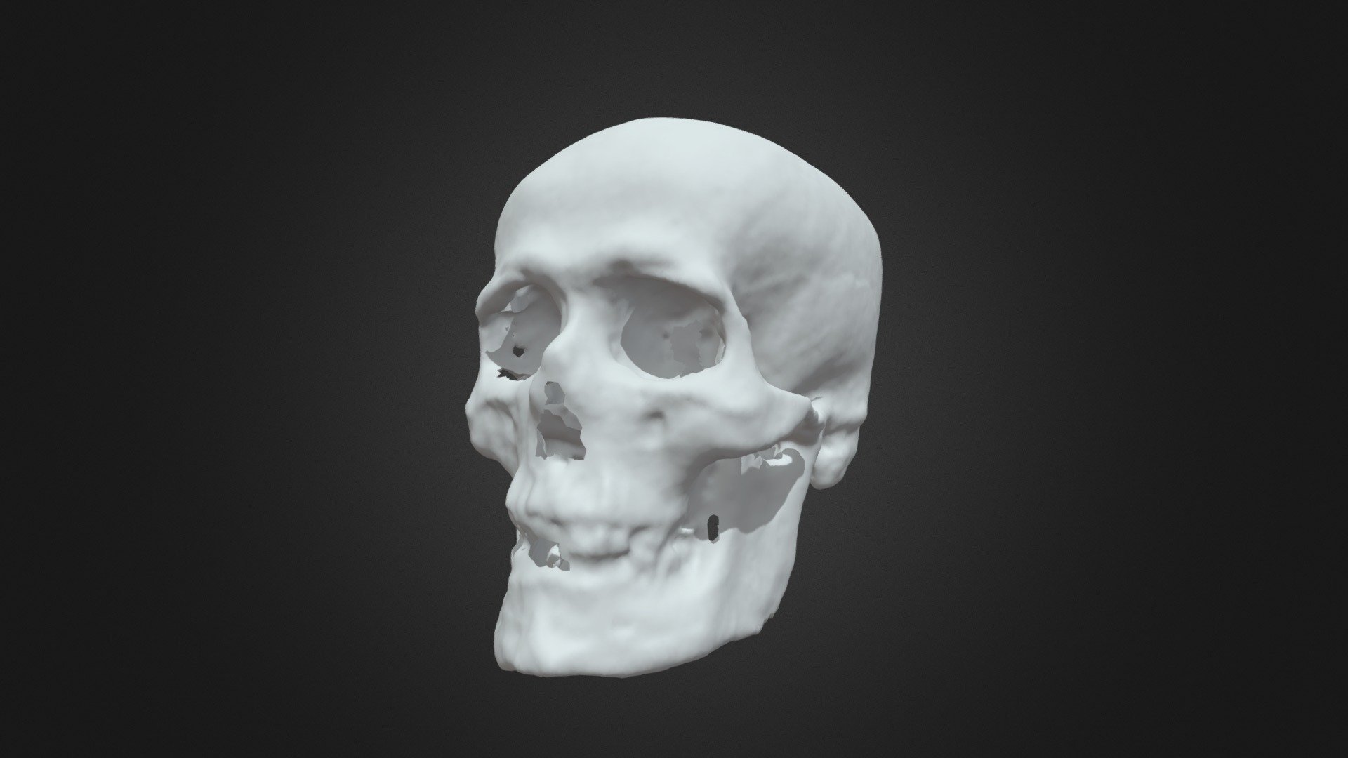 Skull