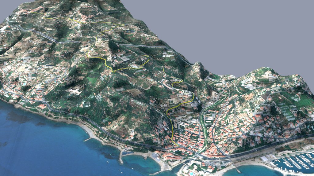 Cipressa
