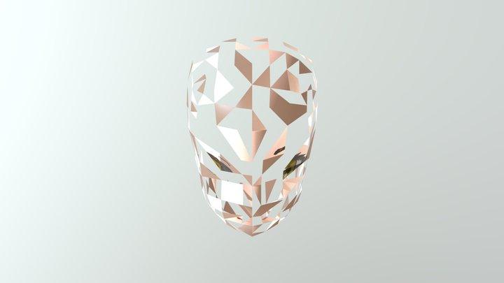 face 3D Model