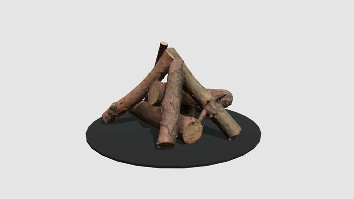 Campfire Photoscan 3D Model