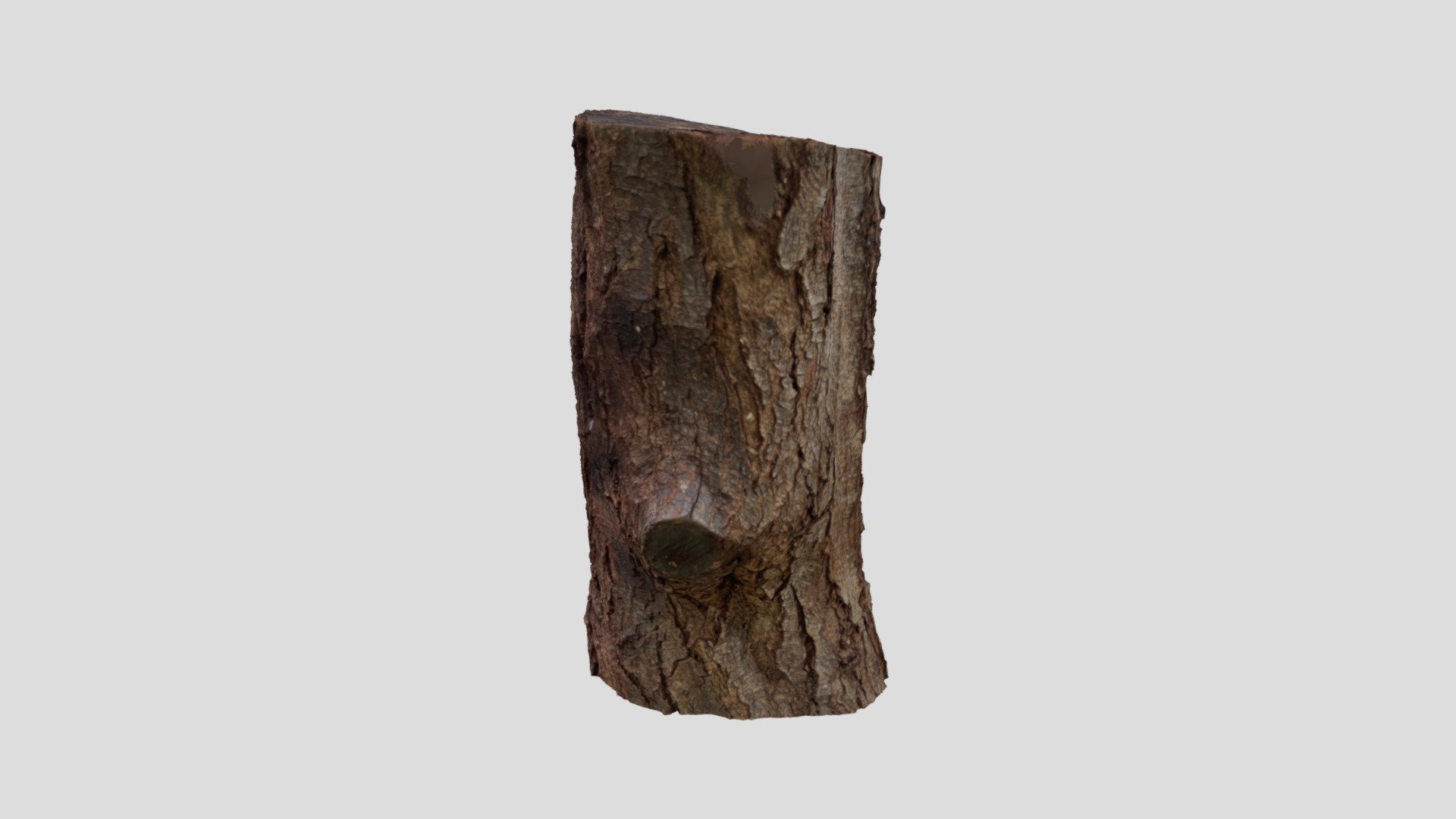 Tree Base - Download Free 3D model by m4_nevada [2398828] - Sketchfab
