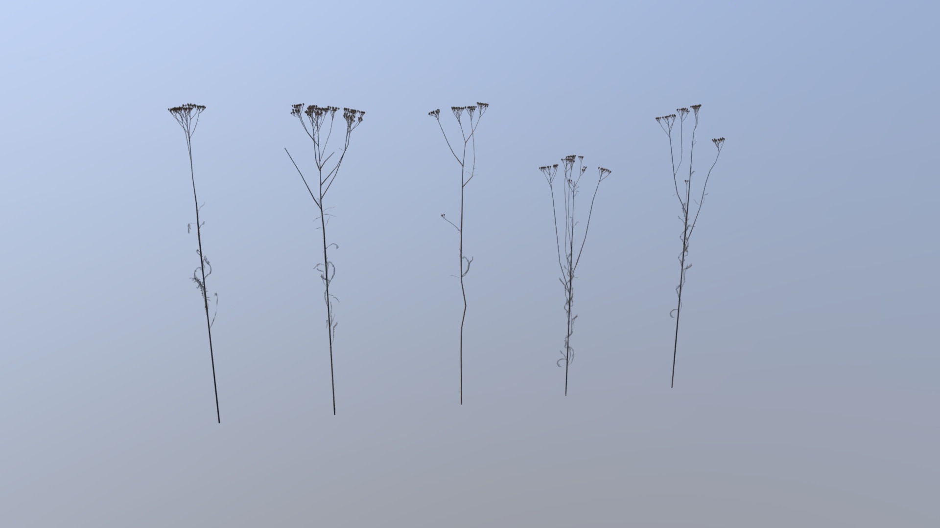 3D model Dry Fennel Pack - This is a 3D model of the Dry Fennel Pack. The 3D model is about a group of trees.