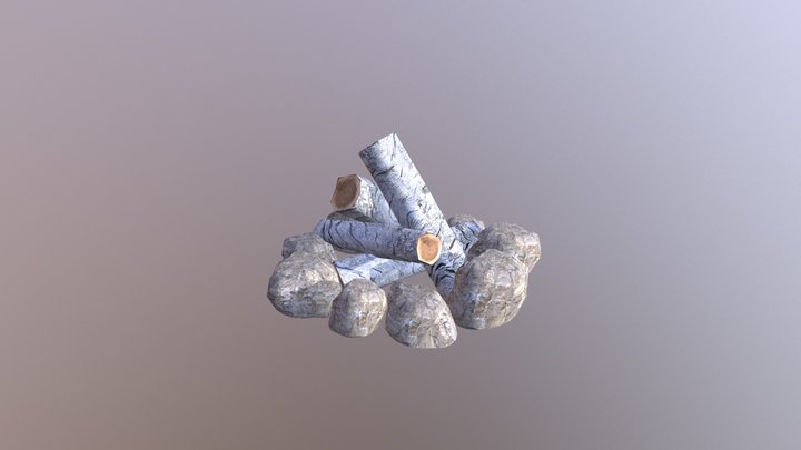 Campfire 3D Model