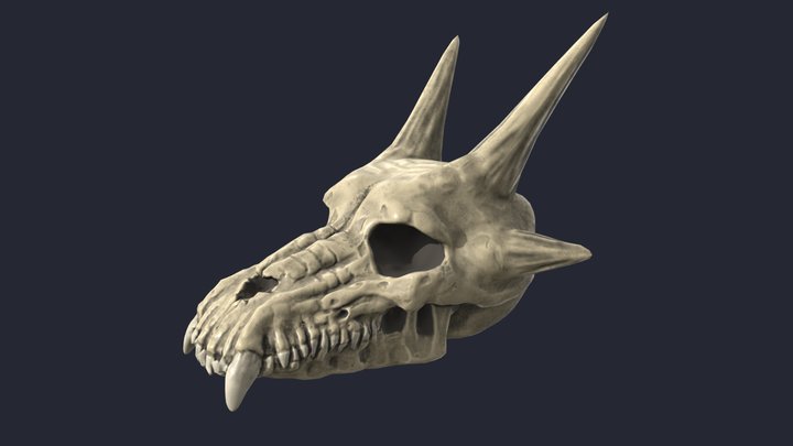 Dragon Skull 3D Model