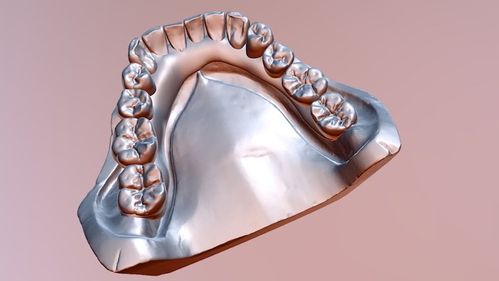 Bas 3D Model