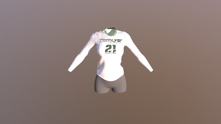 Catalyst Test 3 3D Model