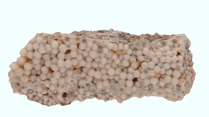 Perles des cavernes cimentées 3D Model