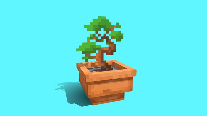 Bonsai 3D Model