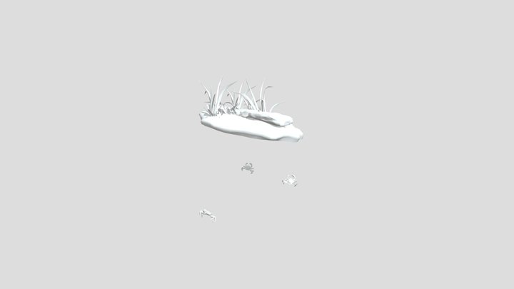 Seagull_krabisland_02 3D Model