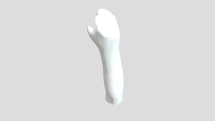 Diane's arm 3D Model