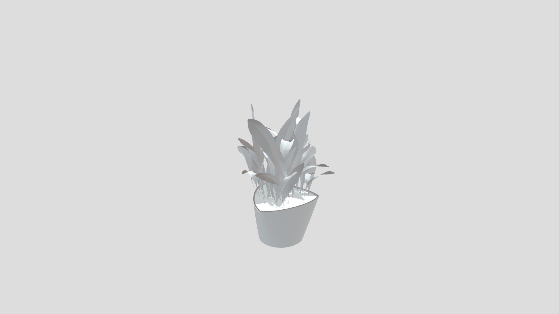 Plant