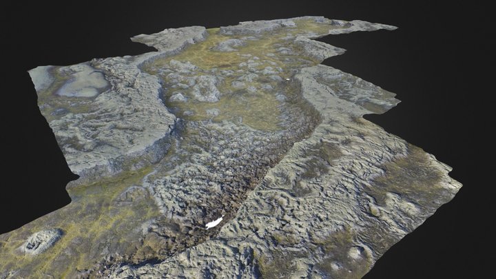 Laki channel confluence, Iceland 3D Model