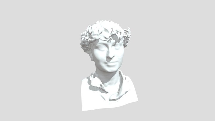Scan with Sense 2 3D Model
