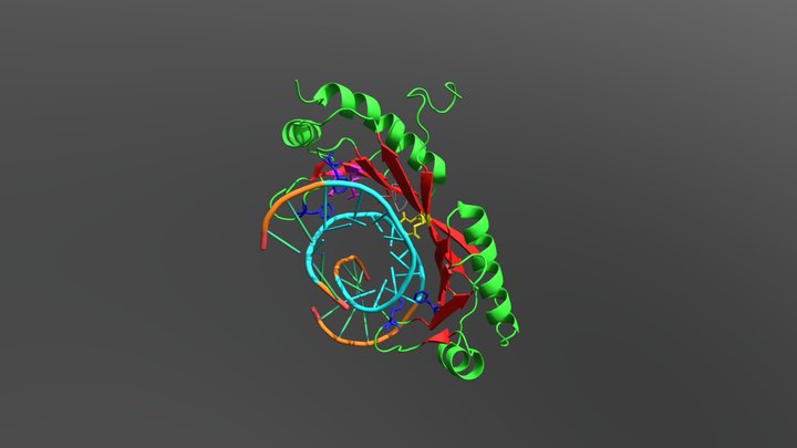 TBP + TATA DNA 3D Model
