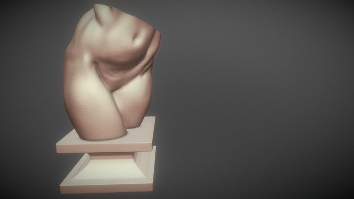 Female Torso 3d print 3D Model