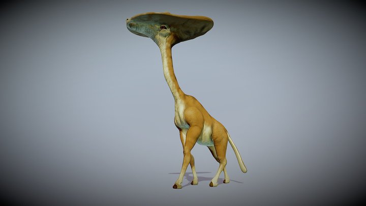 Shieldhead Giraffe 3D Model