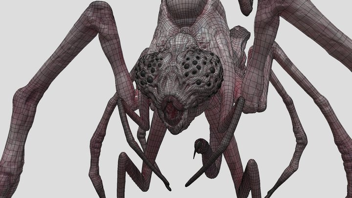 The Bug 3D Model