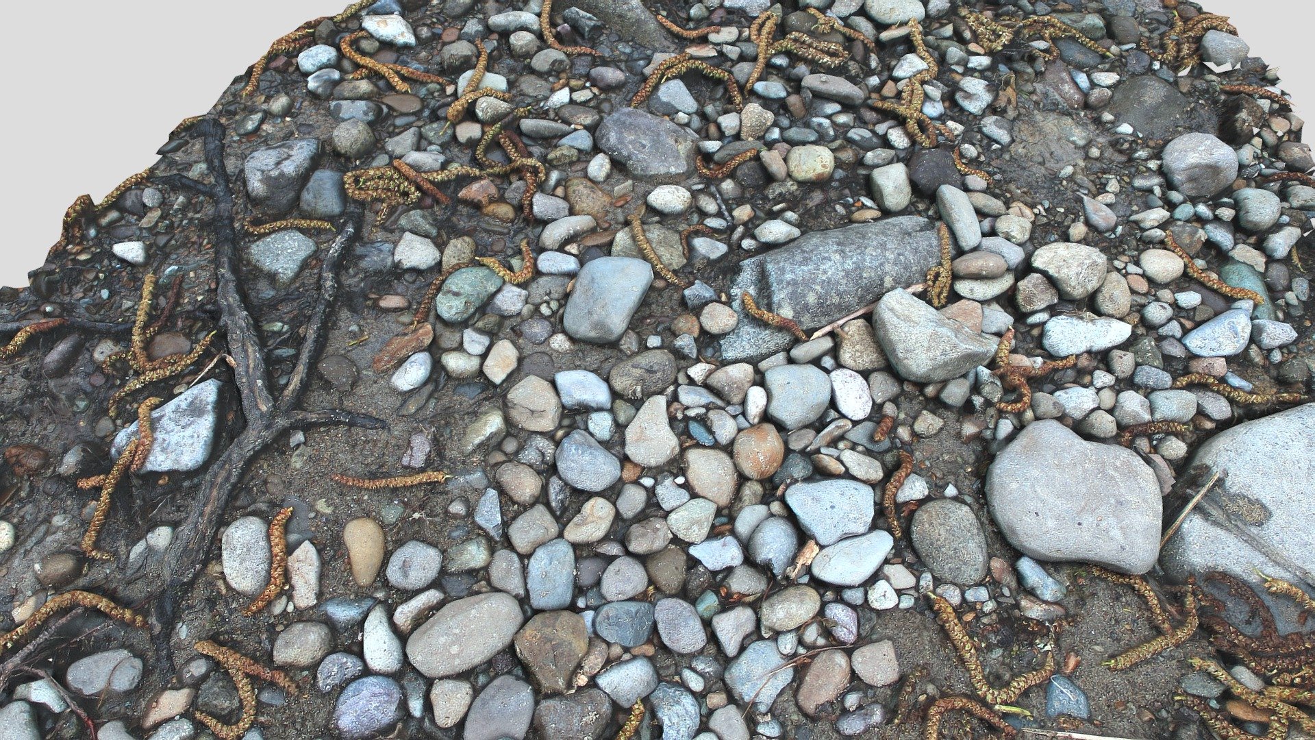 Rocky ground2
