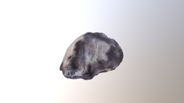 test 3D Model