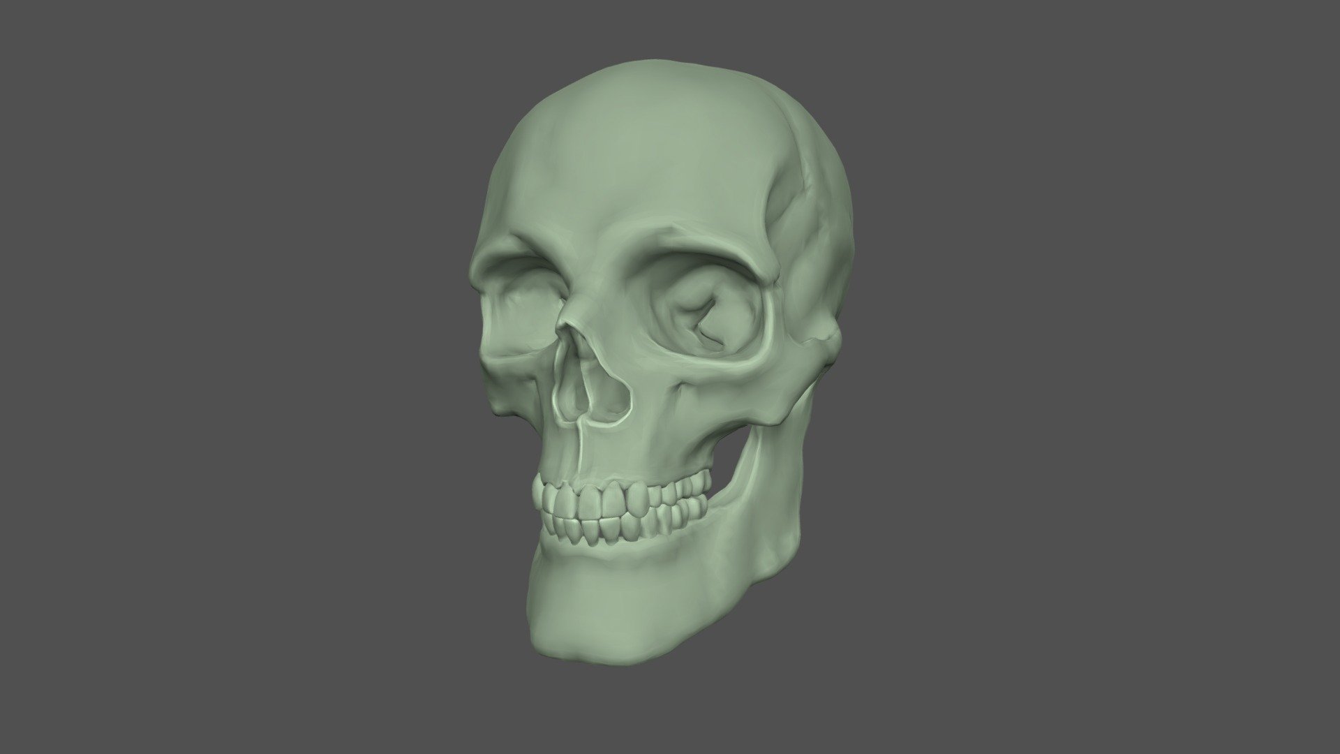 Human Skull Low