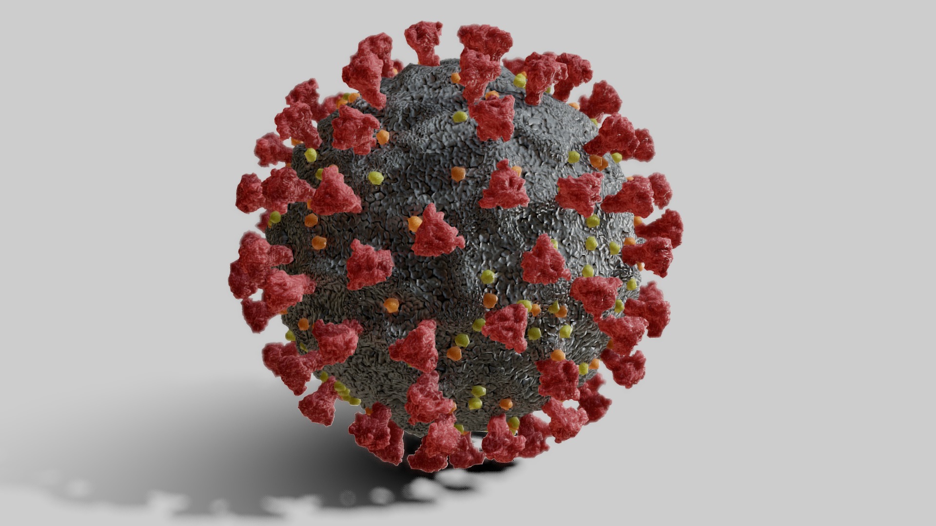 3D model coronavirus – covid19 - This is a 3D model of the coronavirus - covid19. The 3D model is about a pile of red flowers.
