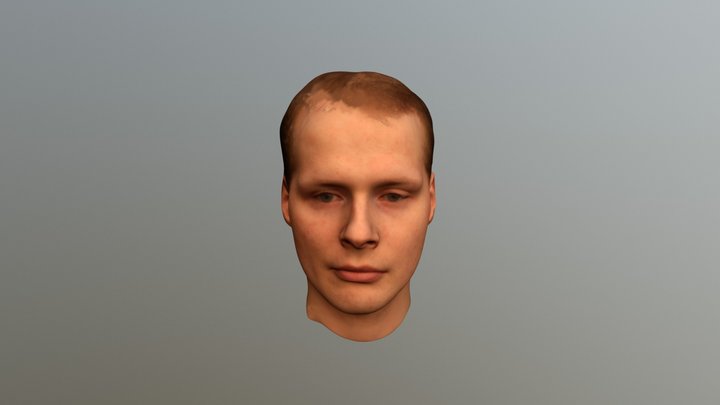 Human Head 3D Model