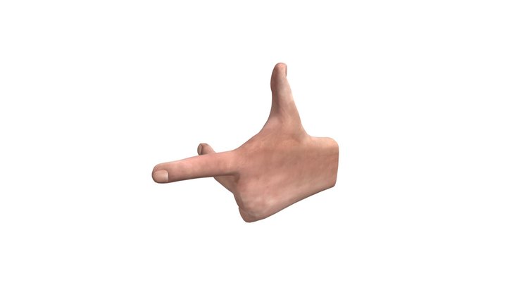 Left Hand Rule 3D Model 3D Model
