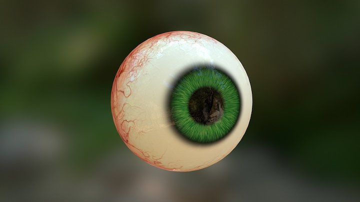 Eyeball 3D Model