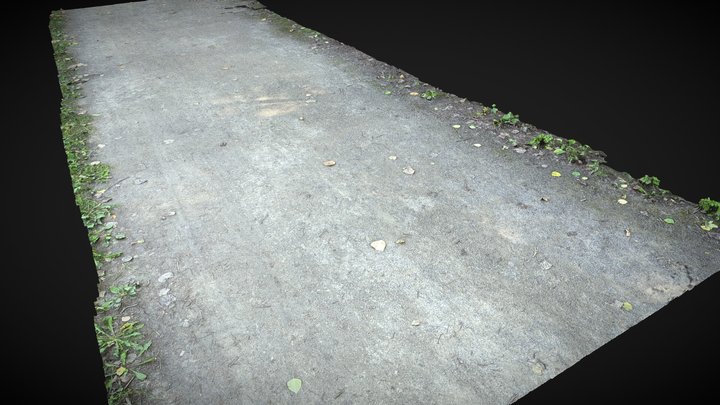 Forest road, sand, soil, gravel, leaves 3D Model