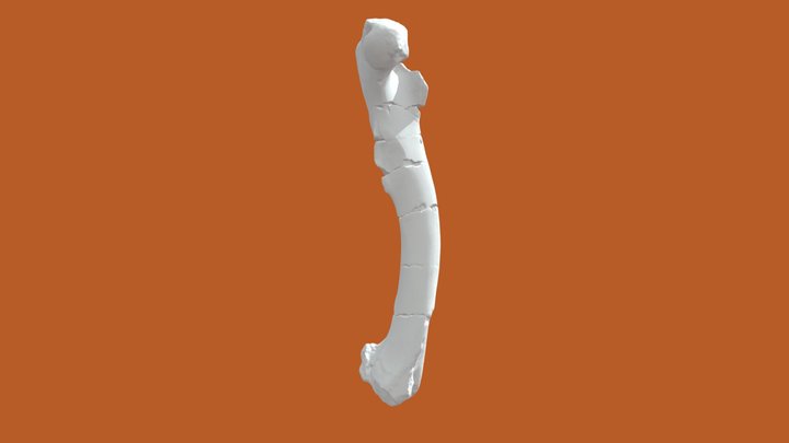 Mystery Fossil #2 3D Model