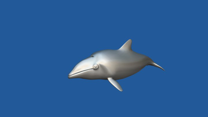 Delfín Chileno 3D Model