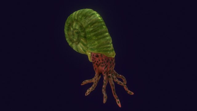 Ammonite 3D Model