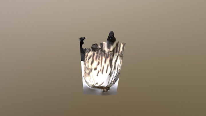 Test 3D Model
