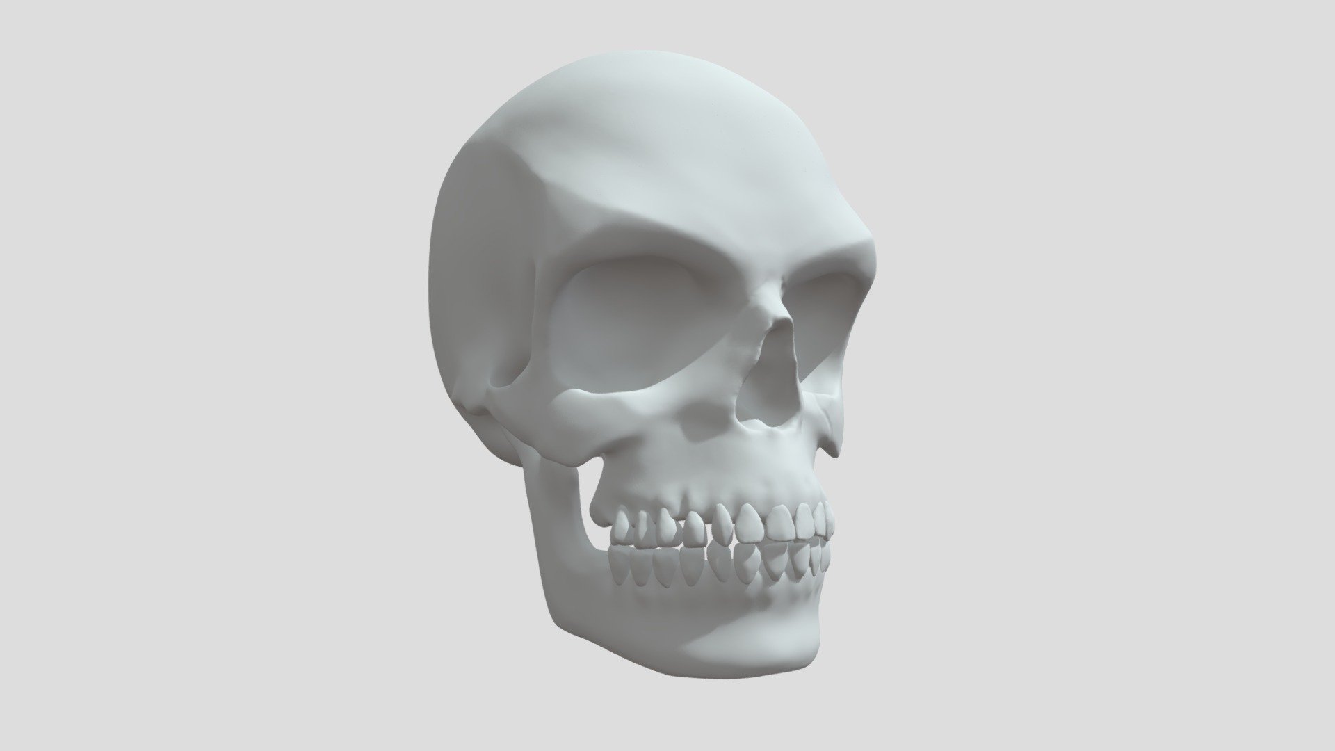 Skull