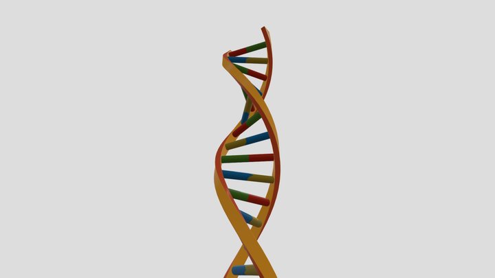 DNA 3D Model