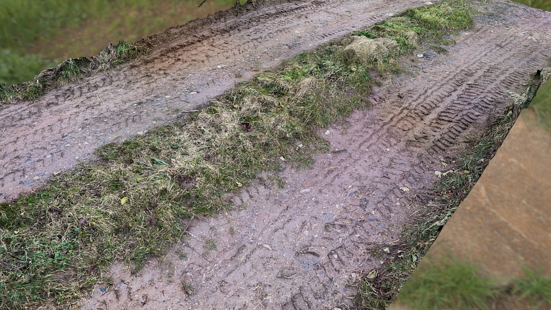 muddy road with tire tracks